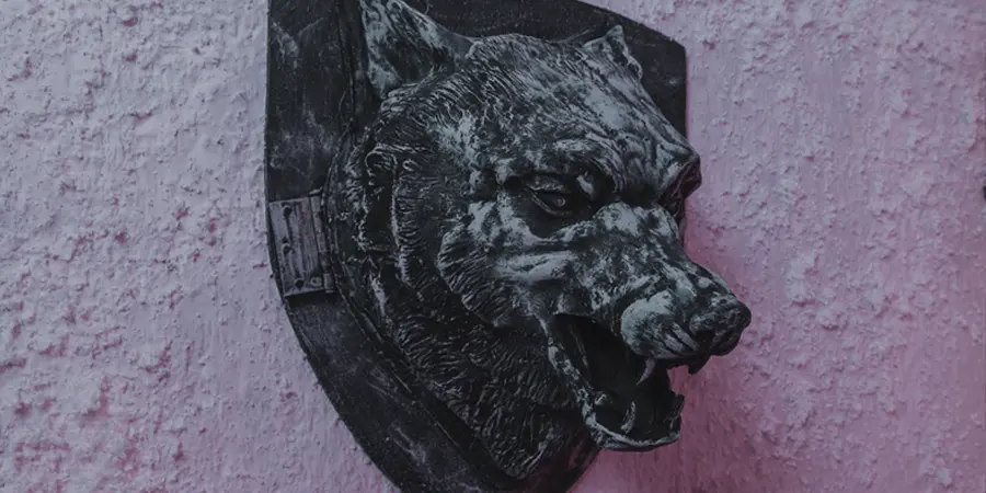 LE ROYAUME DE FEU & GLACE